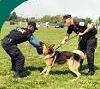 Police With Dog